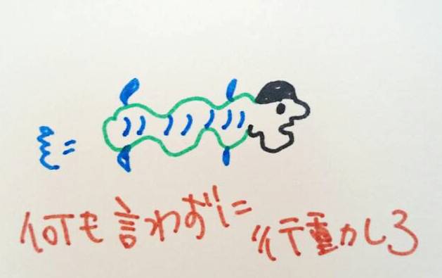 2/4 今日の一枚
