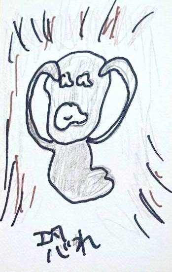 5/25　今日の一枚